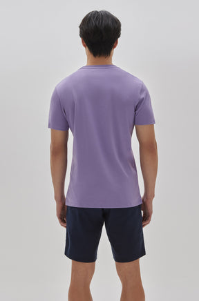 T-Shirt col rond pour homme par Robert Barakett | 23336/Georgia Feuille De Lavande/Lavender Leaf| Machemise.ca, vêtements mode pour hommes