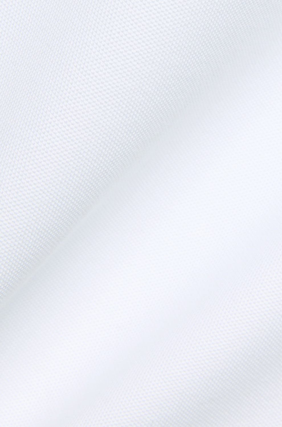 Psycho Bunny men's white short-sleeve polo, detail view