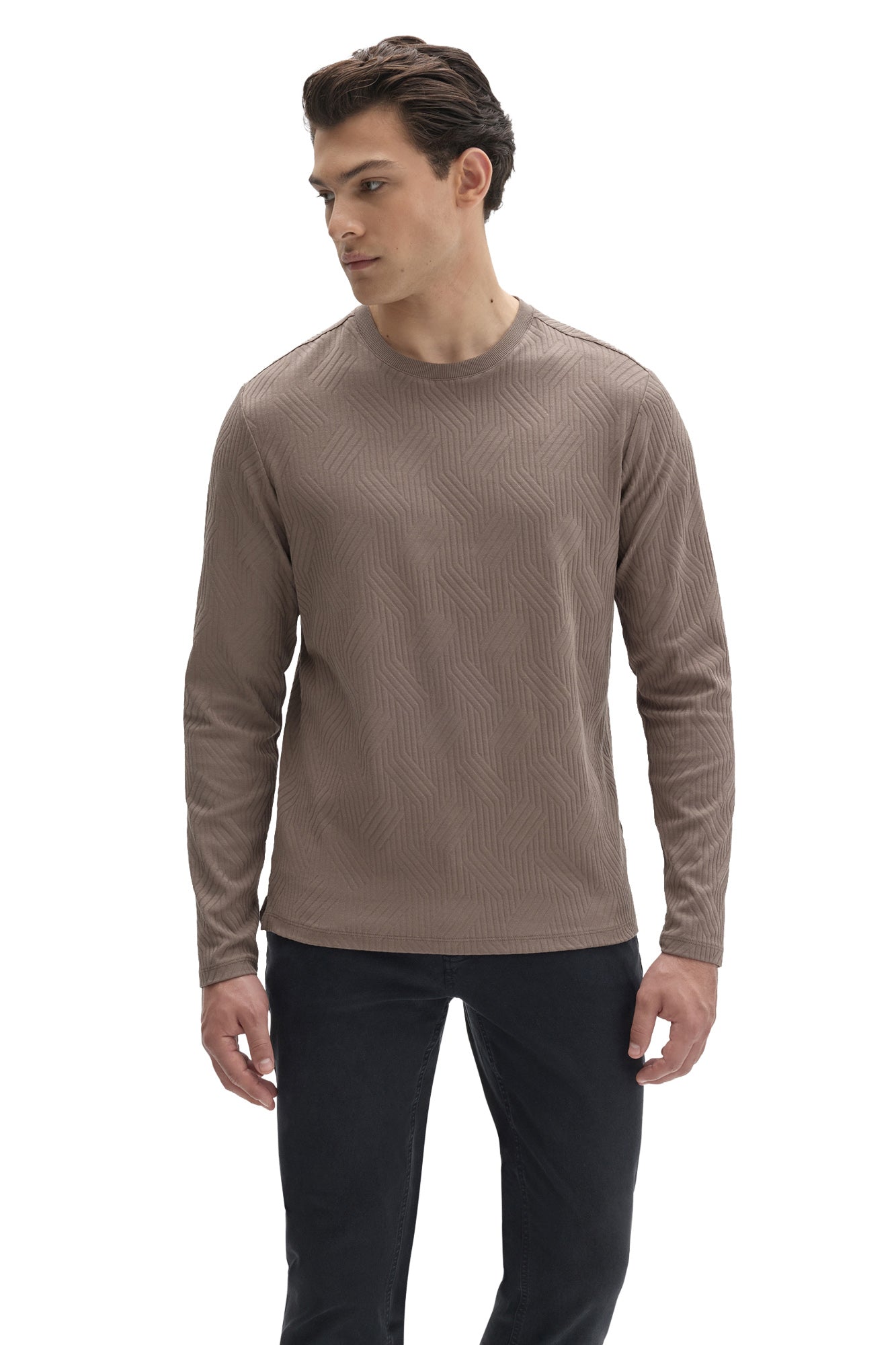 Robert Barakett men's taupe long sleeve crewneck T-Shirt with straight hem and raised geometric texture shown from the front