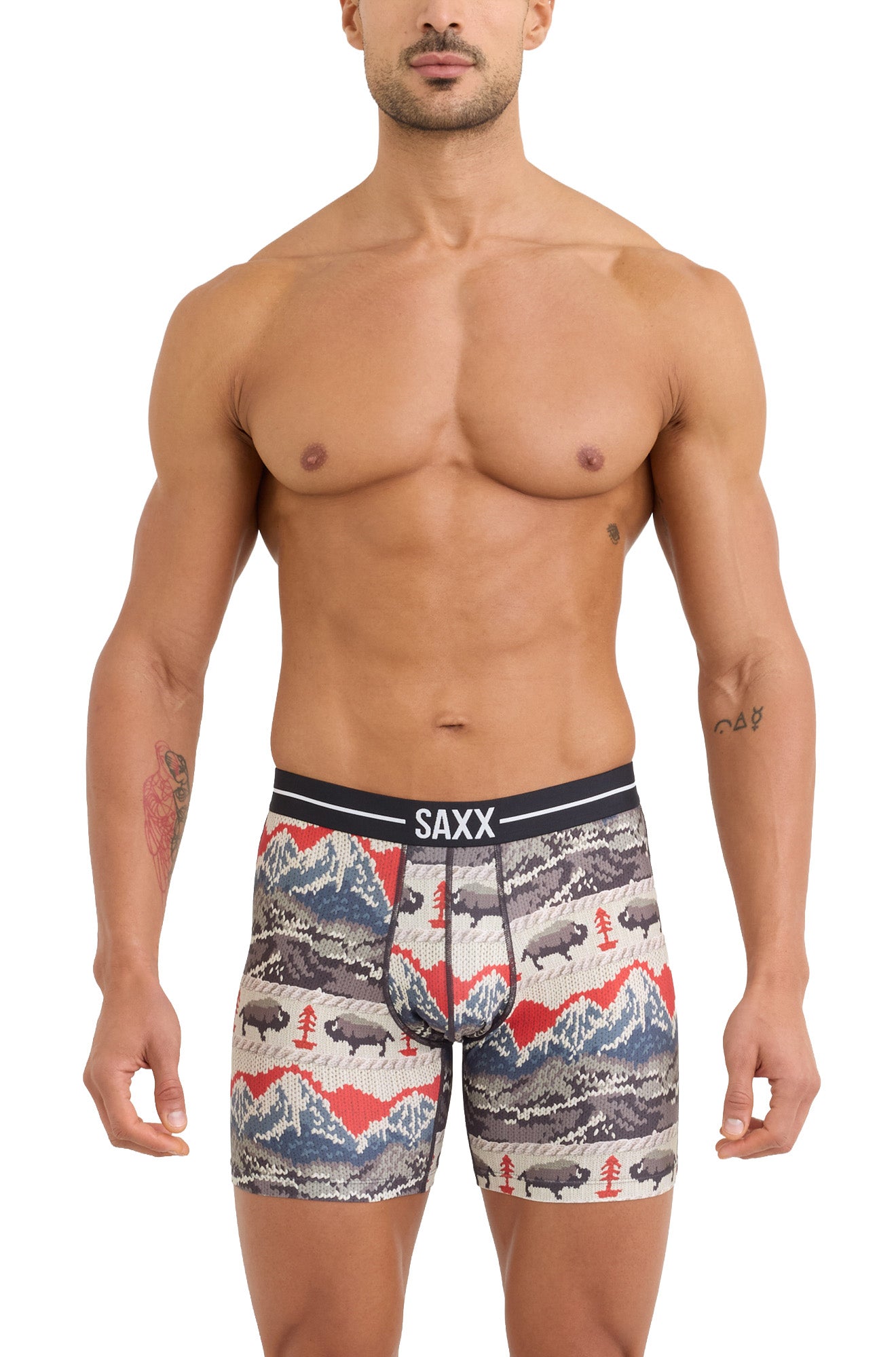 Front model view of men's multicolor boxer briefs with mountain and bison print by Saxx